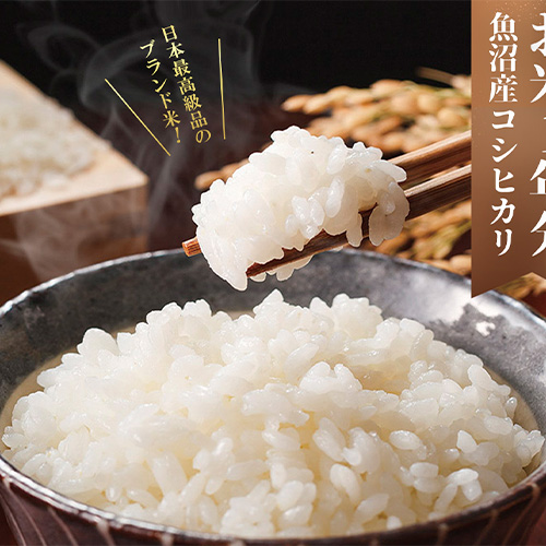 お米1年分