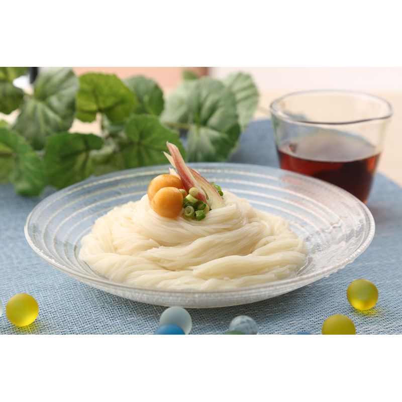 無限堂 稲庭そうめん